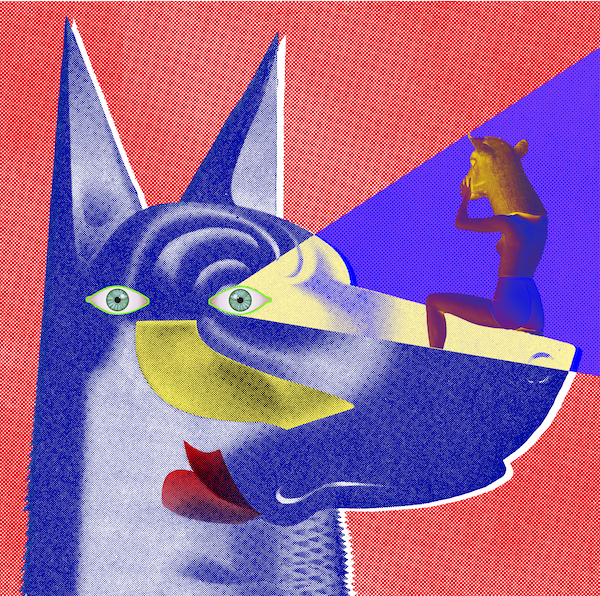 doberman Doberman